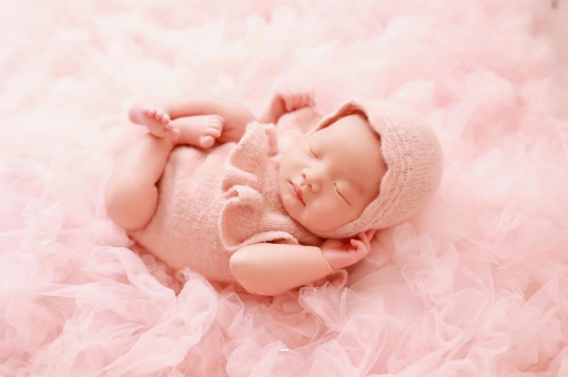 如皋8个月宝宝辅食